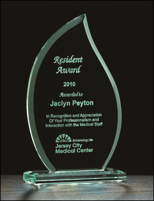 Flame Series Glass Award.