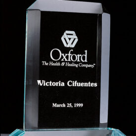 Acrylic Award on Acrylic Base.