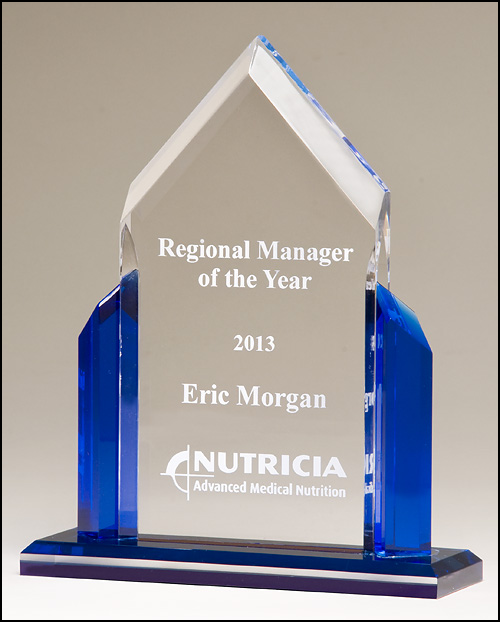 Acrylic Award with Blue Accents and Black Base.