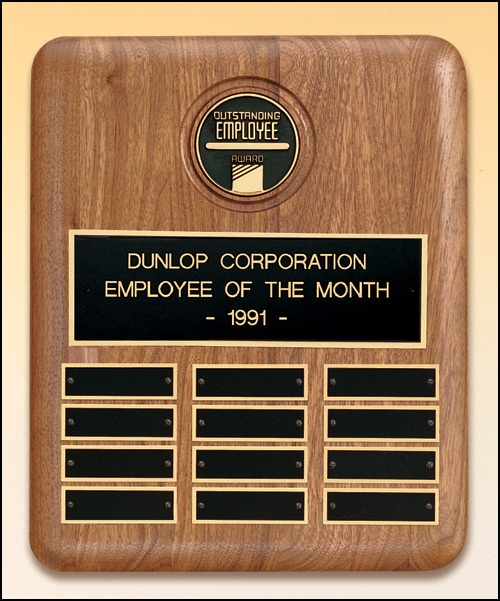 CAM Medallion Plaque with 12 Individual Plates.