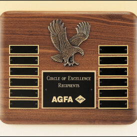 12 Black Brass Plates and Eagle Casting.