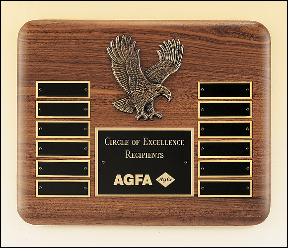 12 Black Brass Plates and Eagle Casting.
