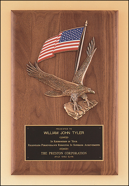 Large Eagle and American Flag Casting.