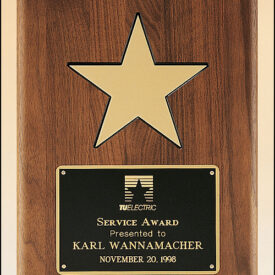 Black Recessed Area and Gold Aluminum Star.