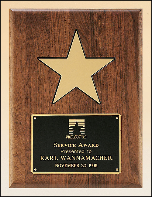Black Recessed Area and Gold Aluminum Star.