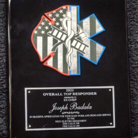 /2MS - Sublimated 1/2 Maltese and 1/2 Star of Life.