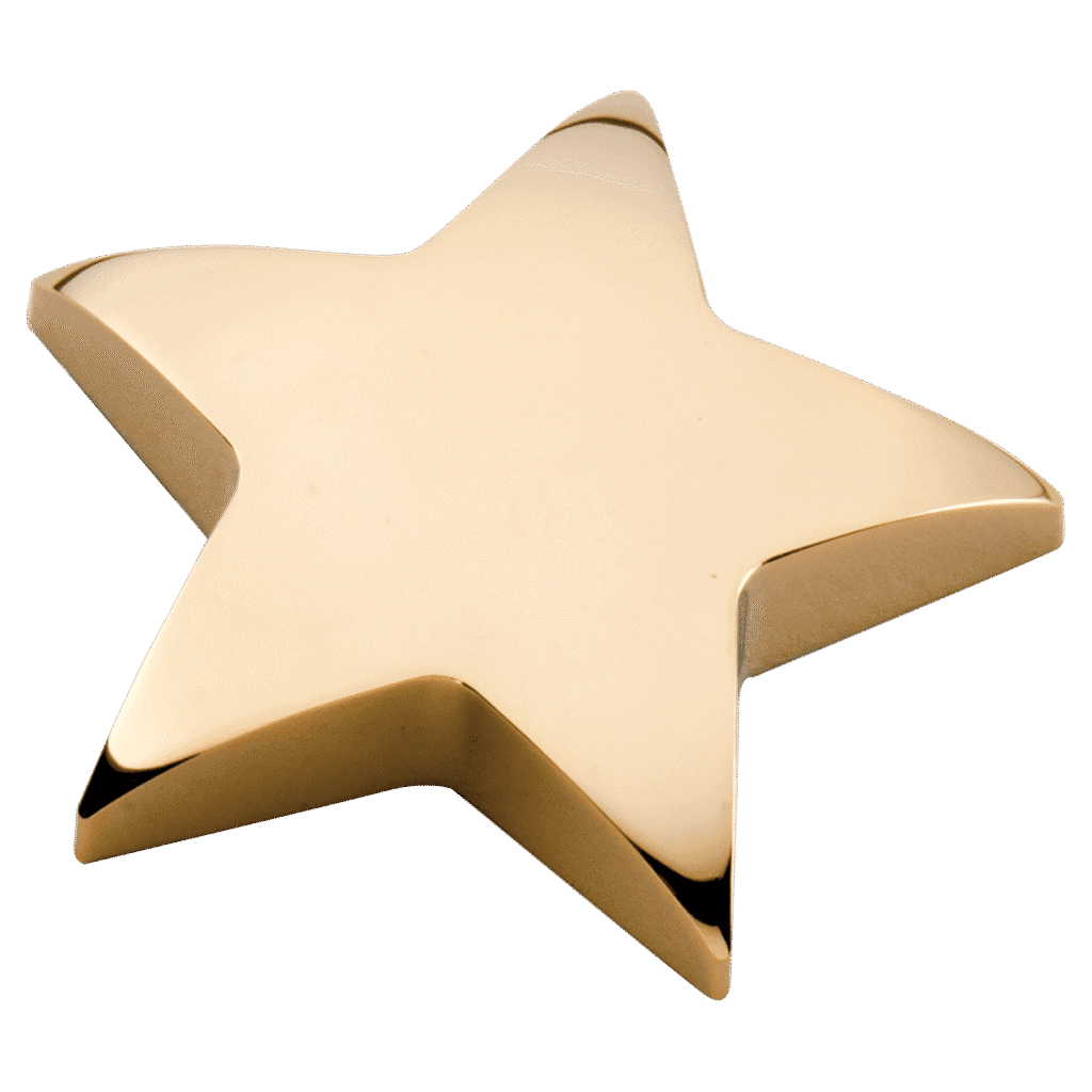 Metal Star Paperweight.