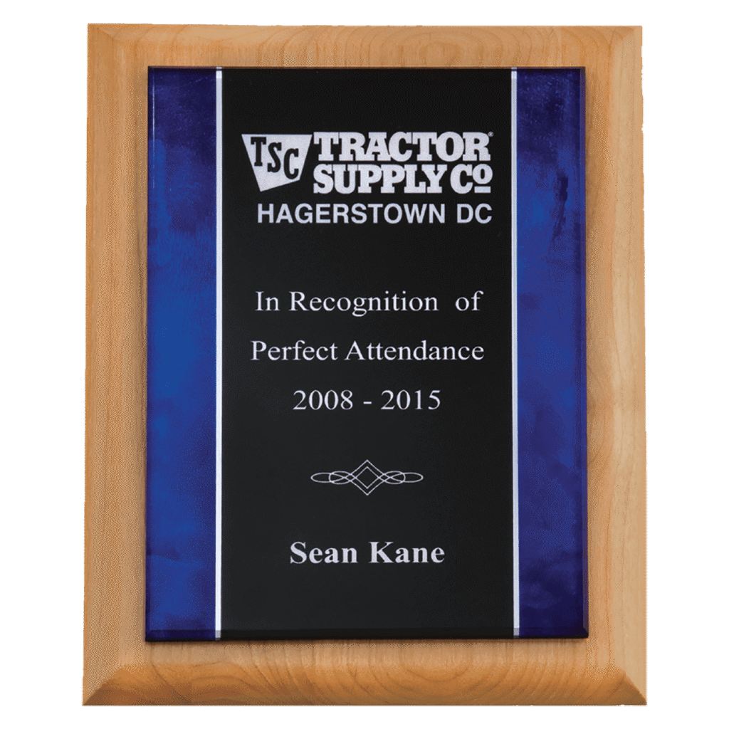 Acrylic Plate with Blue Border.